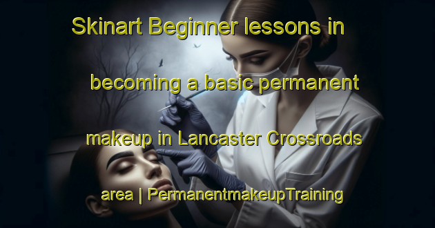 Skinart Beginner lessons in becoming a basic permanent makeup in Lancaster Crossroads area | PermanentmakeupTraining | PermanentmakeupClasses | SkinartTraining-United States